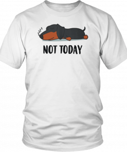 Dachshund not today T-Shirt