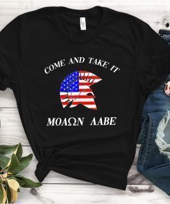 COME AND TAKE IT BETO O'Rourke AR-15 Confiscation T-Shirt