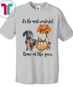 Dachshund pumpkin Its the most wonderful time of the year Shirt