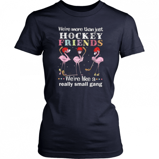 We're more thant just Hockey friends we're like a really small gang T-Shirt