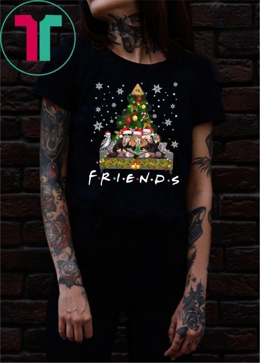 Harry Potter Hermione And Ron Weasley Friends Christmas Shirt