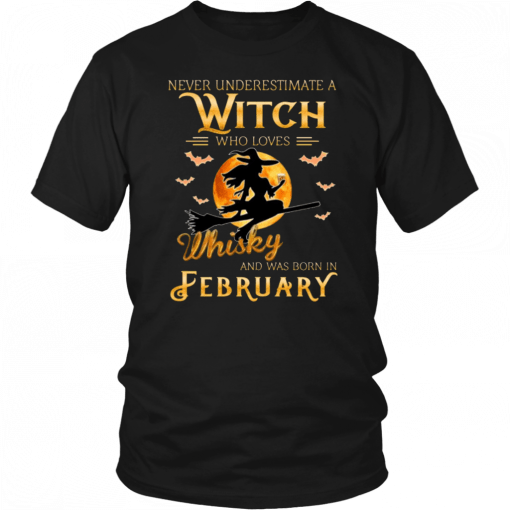 Never Underestimate A February Witch Who Loves Whisky Birthday Halloween Costume T-Shirt