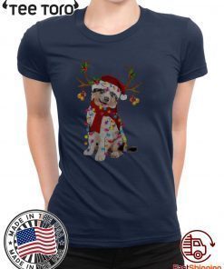 Aussie Gorgeous Reindeer T Shirt