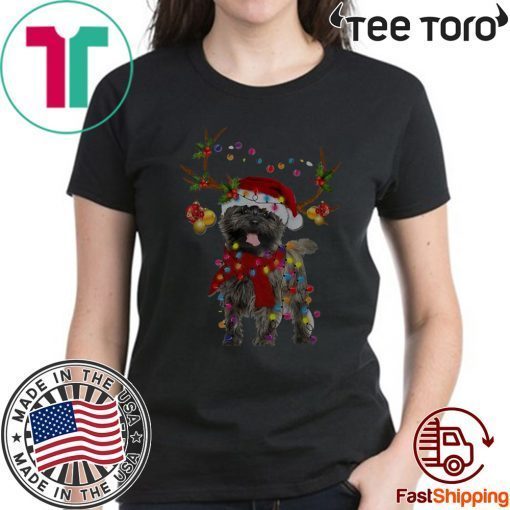 Cairn Terriers Gorgeous Reindeer 2020 T-Shirt