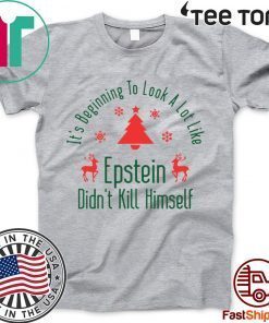 It’s Beginning To Look A Lot Like Epstein Didn’t Kill Himself Christmas Funny T-Shirt