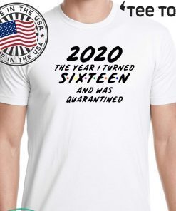 2020 the year I turned 16 and was quarantined For T-Shirt Sixteen svg