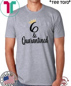 Quarantine and Chill 2020 t-shirt - Quarantine Birthday Queen - Social Distancing Birthday Official T-Shirt