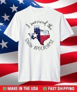 I survived the snow apocalypse Texas shirt