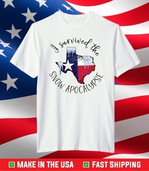 I survived the snow apocalypse Texas shirt