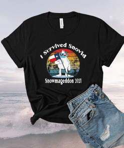 Snowmageddon 2021 I Survived Snovid Texas Snow Retro Shirt