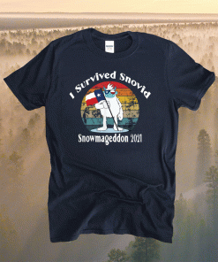 Snowmageddon 2021 I Survived Snovid Texas Snow Retro Shirt