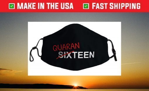 16 Year Old Birthday Gift For Boys and Girls In Quarantine Face Mask