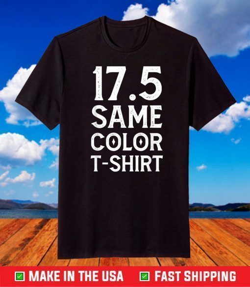 17.5 Same Color T-Shirt Basic Custome Unisex T-Shirt