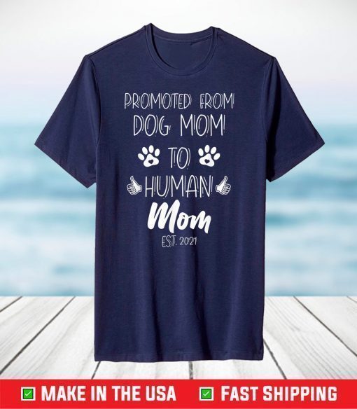 Promoted From Dog Mom To Human Mom Est. 2021 T-Shirt