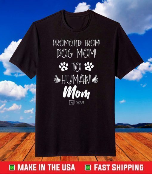 Promoted From Dog Mom To Human Mom Est. 2021 T-Shirt