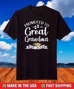 Promoted To Great Grandma est 2021 Shirt Mother's Day T-Shirt