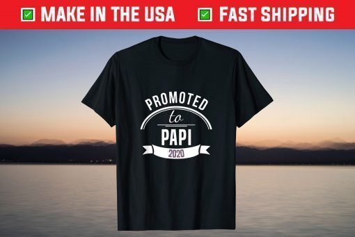 Promoted To Papi Est 2020 Gift First Time Dad Father's Day T-Shirt