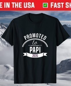 Promoted To Papi Est 2020 Gift First Time Dad Father's Day T-Shirt