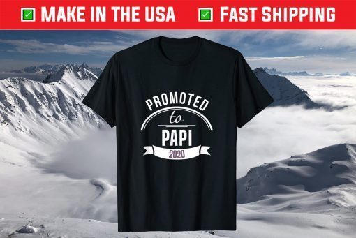 Promoted To Papi Est 2020 Gift First Time Dad Father's Day T-Shirt