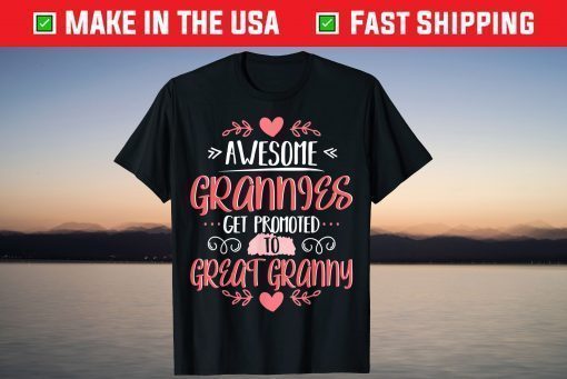 Awesome Grannies Get Promoted To Great Granny T-Shirt