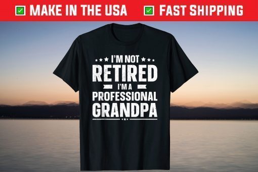 I'm Not Retired I'm A Professional Grandpa Father Day T-Shirt