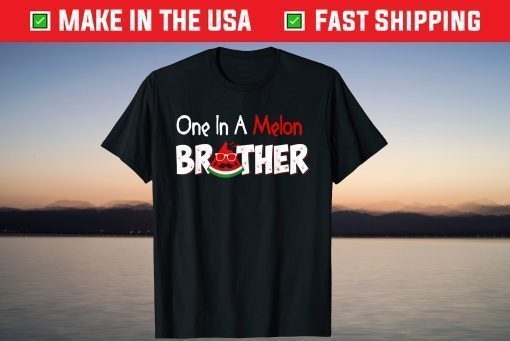 One In A Melon Brother Fathers Day Pun Watermelon T-Shirt