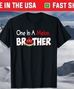 One In A Melon Brother Fathers Day Pun Watermelon T-Shirt