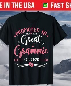 Promoted To Great Grammie Est.2020 Tee Mother's Day T-Shirt