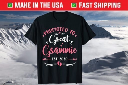 Promoted To Great Grammie Est.2020 Tee Mother's Day T-Shirt