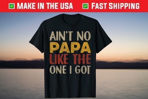 AIN'T NO PAPA LIKE THE ONE I GOT Fathers Day Son Daughter Classic T-Shirt