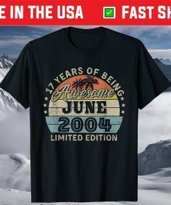 Awesome Since 2004 Retro 17th Birthday June T-Shirt