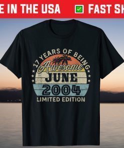 Awesome Since 2004 Retro 17th Birthday June T-Shirt