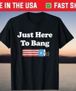 Fourth of July 4th of July I'm Just Here To Bang Classic T-Shirt