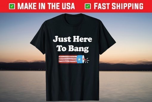 Fourth of July 4th of July I'm Just Here To Bang Classic T-Shirt