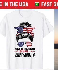 Just A Regular Mom Trying Not To Raise Liberals Classic T-Shirt