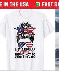 Just A Regular Mom Trying Not To Raise Liberals Classic T-Shirt