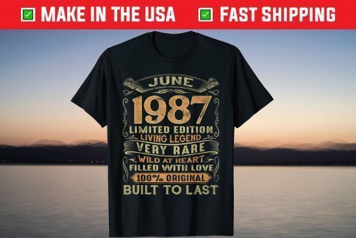 Vintage 34 Year Old June 1987 34th Birthday Classic T-Shirt