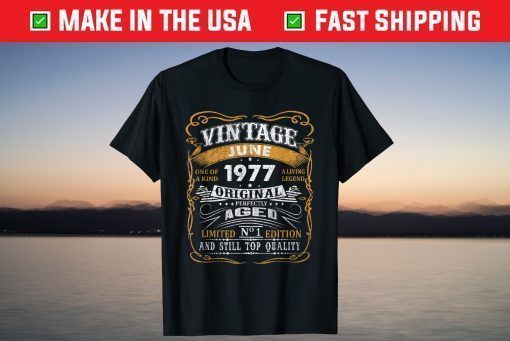 Vintage June 1977 44 Years 44th Birthday Classic T-Shirt