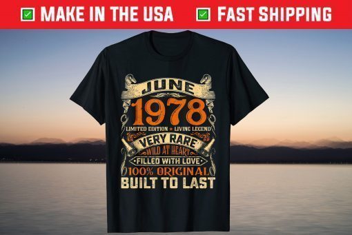 Vintage June 1978 Distressed 43rd Birthday Outfit 43 Years Old T-Shirt