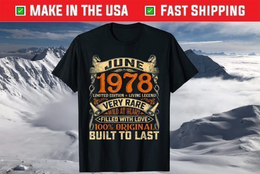 Vintage June 1978 Distressed 43rd Birthday Outfit 43 Years Old T-Shirt