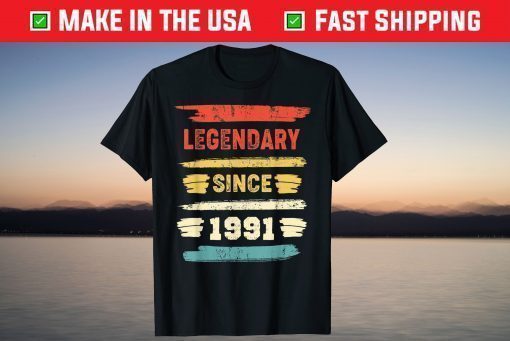 Retro Birthday Vintage Legendary Since 1991 Classic T-Shirt