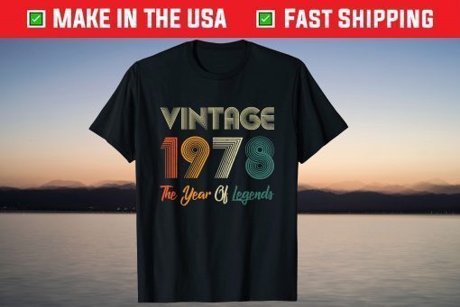 Vintage 1978 Retro Bday 43 Years Old Gift T-Shirt