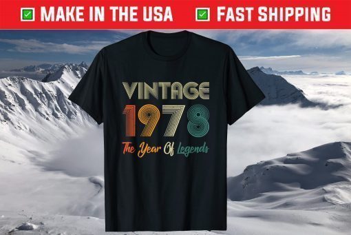 Vintage 1978 Retro Bday 43 Years Old Gift T-Shirt