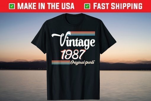 Vintage Awesome Since September 1987 34 Years Old T-Shirt