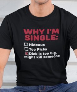 Why I’m Single Hideous Too Picky Dick Is Too Big Shirt