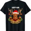 Let's Go Branson Brandon Christmas Lights Reindeer T-Shirt