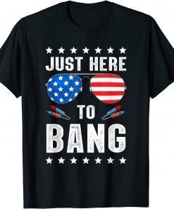 4th of July I'm Just Here To Bang USA Flag Sunglasses Tee Shirt