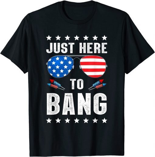 4th of July I'm Just Here To Bang USA Flag Sunglasses Tee Shirt