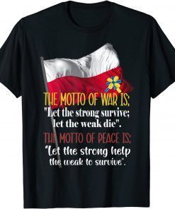 Poland stands with Ukraine Polish Ukrainian T-Shirt