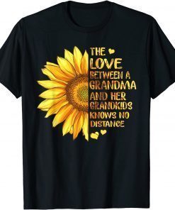 The Love Between Grandma And Her Grandkids Knows No Distance T-Shirt